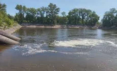 Український агросектор ризикує втратити половину виробництва через водну кризу
