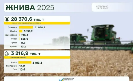 Жнива 2025: зібрано 28,4 млн тонн зернових та зернобобових