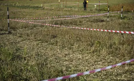 Понад 5 тисяч гектарів сільгоспземель розміновано у серпні