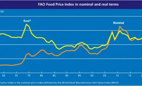 FAO: у серпні прогнози виробництва збільшено, але індекси цін майже не змінились