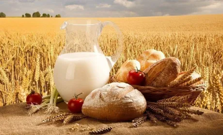 Українське продовольство та розмінування: Україна та ООН обговорили розширення співпраці