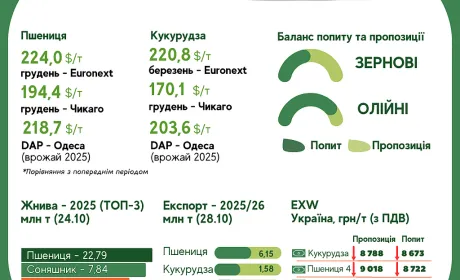 Тренди на ринку зернових та олійних з 21 по 28 жовтня
