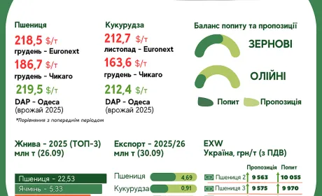 Тренди на ринку зернових та олійних культур з 24 по 30 вересня