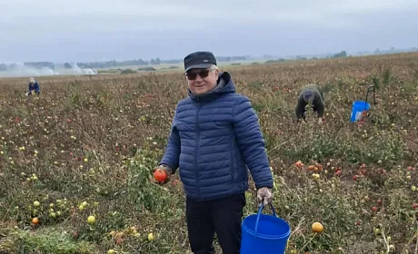 Польські фермери змушені безкоштовно роздавати врожай