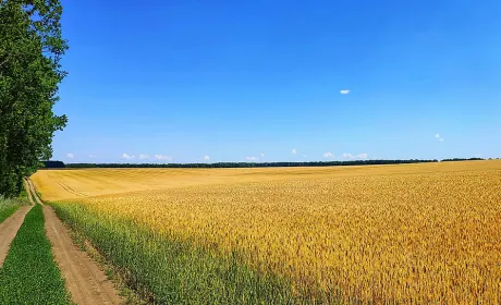 Єврокомісія пропонує подвоїти підтримку молодих фермерів щоб зупинити відтік молоді з агросектору