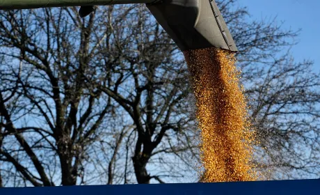 Аграрії Вінниччини зібрали майже 2,5 мільйона тонн зерна