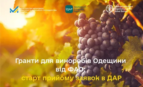 Винороби Одещини отримають гранти від ФАО та уряду Італії