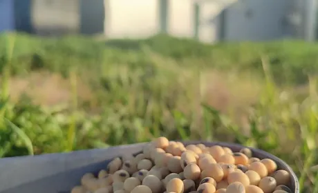 Група АГРОТРЕЙД отримала сертифікацію Europe Soya