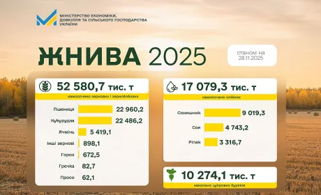 Жнива 2025: обмолочено 89% зернових