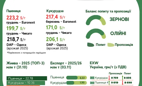 Тренди на ринку зернових та олійних з 27 жовтня по 3 листопада