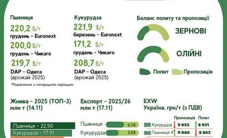 Тренди на ринку зернових та олійних з 10 по 17 листопада