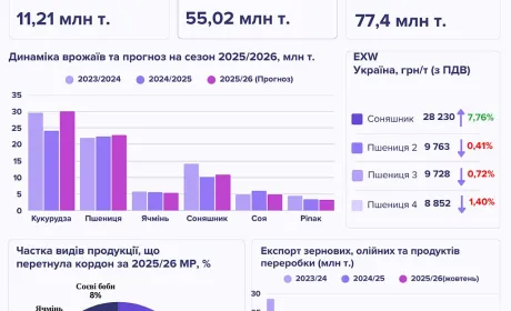 Підсумки жовтня на ринку зернових та олійних