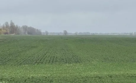В «Агро-Регіон» створили мобільний застосунок для роботи з договорами оренди земельних ділянок