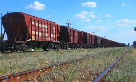 Ставки на зерновози Укрзалізниці побили рекорд: ціна зросла у 25 разів за два місяці