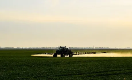 В Україні половина сільгоспугідь під прямою загрозою через перехід на європейські ЗЗР