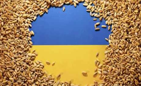 Україна експортувала майже 13 мільйонів тонн зерна з початку сезону