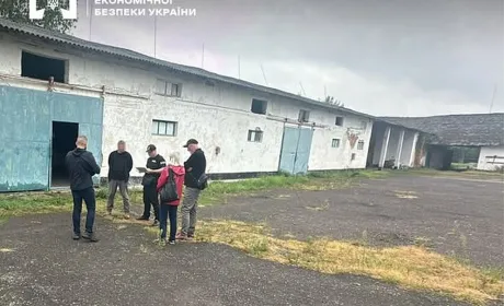 Керівницю наукового інституту на Закарпатті судитимуть за розтрату 300 тонн державного зерна