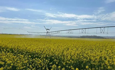 Підсумки зрошувального сезону 2025: водою забезпечено понад 40 тисяч гектарів полів