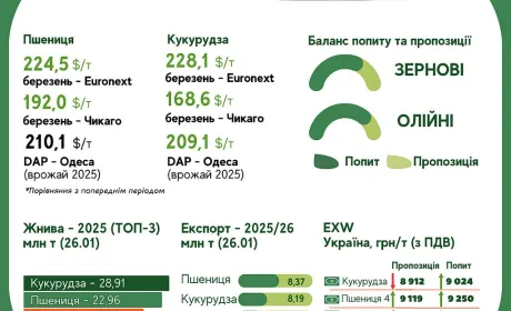 Тренди на ринку зернових та олійних з 19 по 26 січня