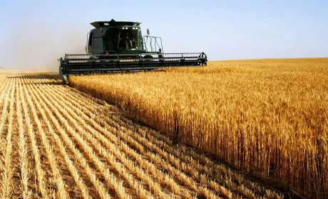 Аграрні компанії стали лідерами рейтингу репутаційного капіталу 2025 року