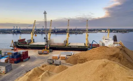 Експорт агропродукції в січні: морські порти виходять на перший план