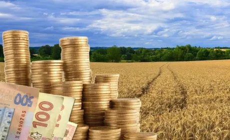 На Рівненщині запрацював Фонд часткового гарантування кредитів у сільському господарстві