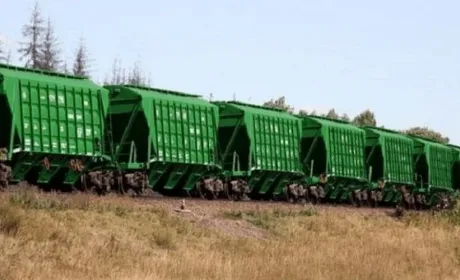 Залізниця скоротила перевезення зерна у 2025 році