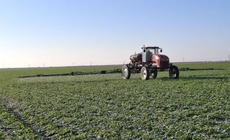Tekom Agro Group планує на 2026 рік впровадження нішевих культур та діджиталізацію процесів