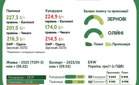 Тренди на ринку зернових та олійних з 9 по 15 лютого 2026 року