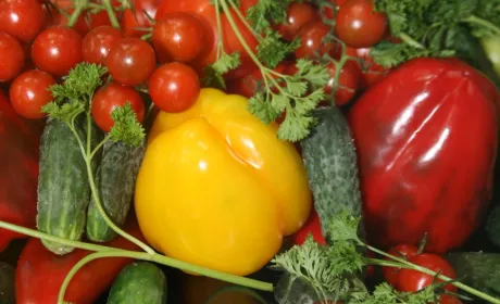 BASF Agricultural Solutions в Україні та ТОВ «Бадваси» оголошують про партнерство у сегменті дрібного фасування ЗЗР для присадибного сектору 