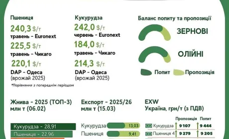 Тренди на ринку зернових та олійних з 9 по 15 березня