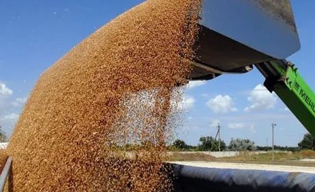 Експорт агропродукції: підсумки лютого та перші результати березня