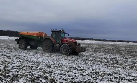 На Буковині триває підживлення озимих