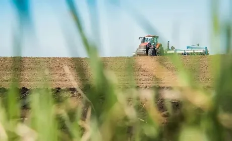 Ярими культурами засіяно вже понад 460 тис. га