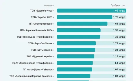 Лідери агроринку: хто заробив понад 1 млрд грн у 2025 році