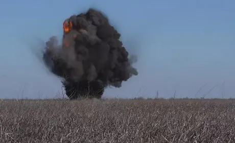 Як змінилися площі посівів у Миколаївській області за чотири роки: дані супутникового моніторингу