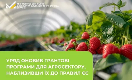 Уряд оновив грантові програми для агросектору, наблизивши їх до правил ЄС