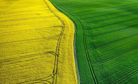 Ринок землі в Україні: чому інвестиції в агросектор показують понад 20% річного приросту