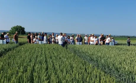 День поля «Агропазли» — 12 червня, Гаї-Суходільські