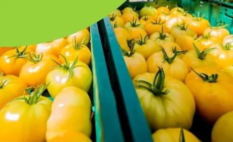 З початку року аграрії отримали 70,8 млн грн грантів на сади і теплиці