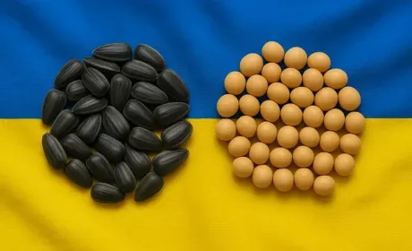 Уряд спростив механізм підтвердження права на звільнення агровиробників від експортного мита на сою та ріпак