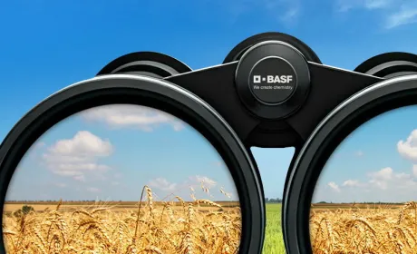 Готуйтесь до нового сезону з вигодою: у BASF стартувала осіння промокампанія-2026