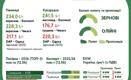 Тренди на ринку зернових та олійних з 11 по 17 червня