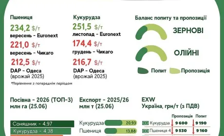 Тренди на ринку зернових та олійних з 19 по 25 червня