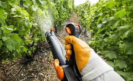 Реформа ринку ЗЗР стане найскладнішим етапом євроінтеграції українського агросектору