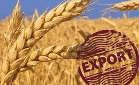 Україна на IGC Grains Conference 2026: від експорту зерна – до продукції з більшою доданою вартістю