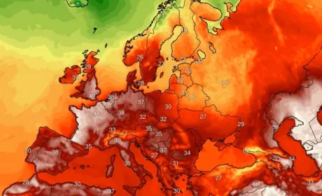 Аномальна спека в Європі знижує прогнози врожаю зерна