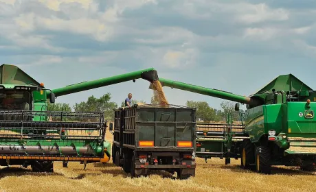 До 67 ц/га на Одещині: Tekom Agro Group розпочали збирання ячменю та гороху