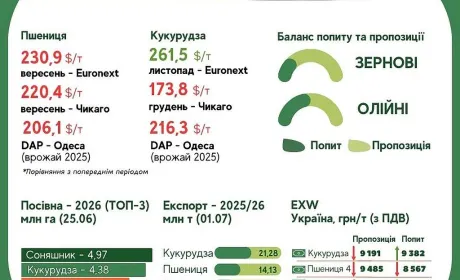 Тренди на ринку зернових та олійних культур з 26 червня по 2 липня
