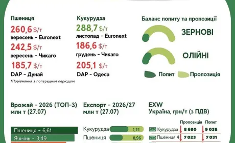 Тренди на ринку зернових та олійних з 21 по 27 липня